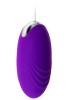 Censan Costa Mini Vibratör Mor 6,5 cm