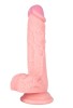 Noctis ..cm Ten Rengi Realistik Dildo No:190