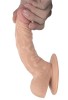 Gerçekçi Testisli Dildo 18.5 cm
