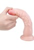 Noctis 20cm Realistik Dildo No:8