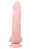 Censan 21 cm Realistik Dildo Penis