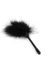Chisa Novelties Senuelo Pleasure Feather Tickler