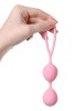 Censan Rai Vajinal Kegel Egzersiz Topları Açık Pembe 17 cm
