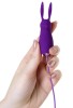 CENSAN Bunny Mini Vibratör Mor
