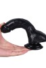 Noctis 18,8cm Siyah Dildo No:14