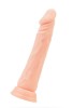 CENSAN Toon Vantuzlu Realistik Dildo Ten 20 cm