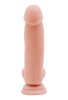 Philander 18cm Kıkırdaklı Gerçekçi Dildo