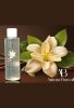 Aurora Boreale Vanilya Aromalı Masaj Yağı 150 ML