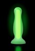 Censan Beyond Victor Glow Karanlıkta Parlayan Anal Plug Silikon Şeffaf 10 cm