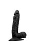Noctis Gerçekçi Realistik Testisli Dildo 18 cm