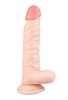 Noctis 20cm Realistik Dildo No:80