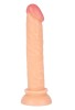 Noctis 15cm Realistik Dildo No:19