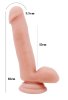 Philander 18cm Kıkırdaklı Gerçekçi Dildo