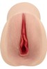 Censan Realistic Pussy Sweetie Suni Vajina Mastürbatör