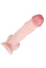Censan Ten Rengi 20 cm Dildo Model No:1007