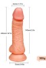 Censan Ten Rengi 20 cm Dildo Model No:1065