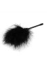 Chisa Novelties Senuelo Pleasure Feather Tickler