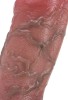 Censan Dolgulu Testis Geçmeli Penis Kılıfı Model no: S8100