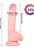 Noctis 19cm Ten Rengi Realistik Dildo No:189