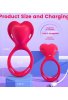 Censan Uzaktan Kumandalı Giyilebilir Panty Vibratör – Çift Uyarım, 10 Mod, Şarjlı, Sessiz, IPX6
