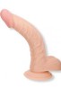 Curved Passion Vantuzlu Dildo 19 cm