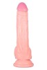 Noctis 19cm Ten Rengi Realistik Dildo No:189